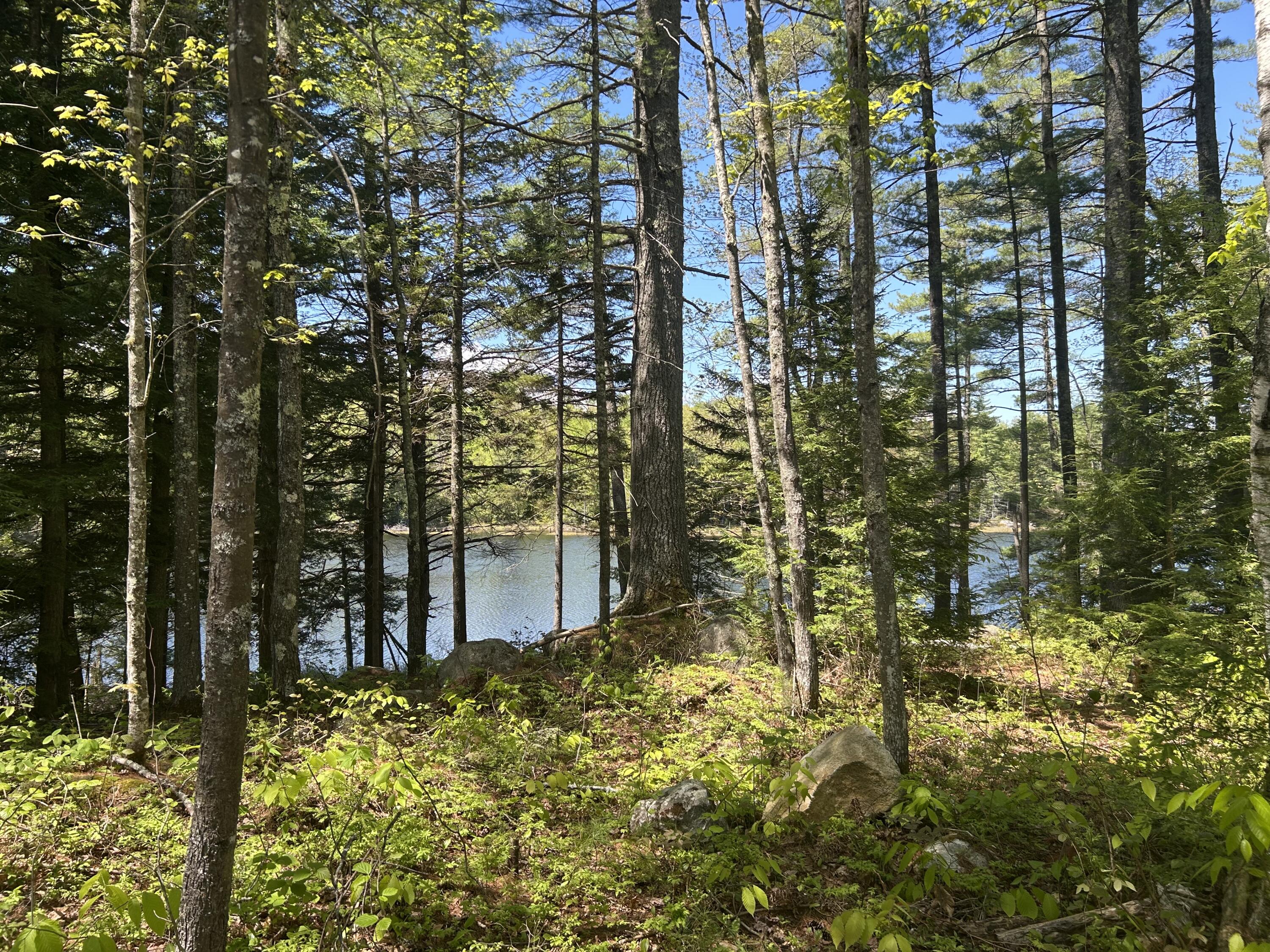 366 Ladd Road Mercer, ME 04957 - Photo 30 of 35 IMG_7659