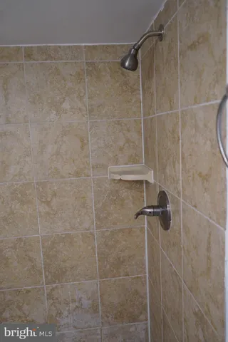 a bathroom with a shower and a window