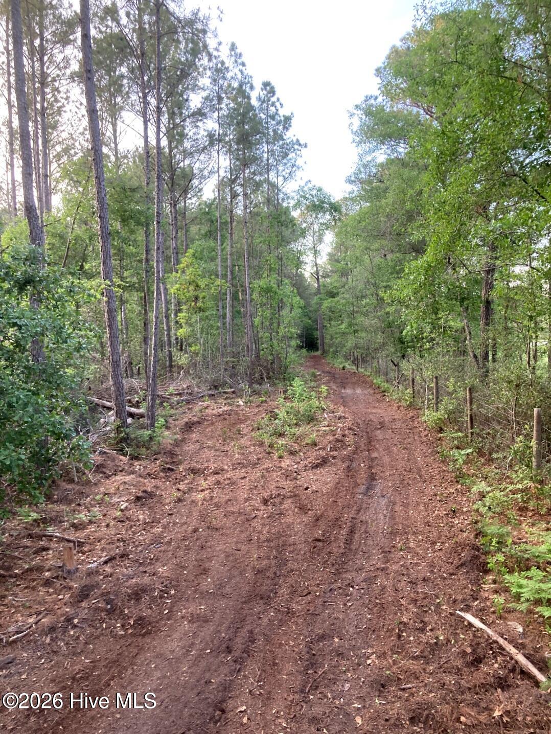 0 Harrell Road Burgaw, NC 28425 - Photo 11 of 22 20260420 cleared path