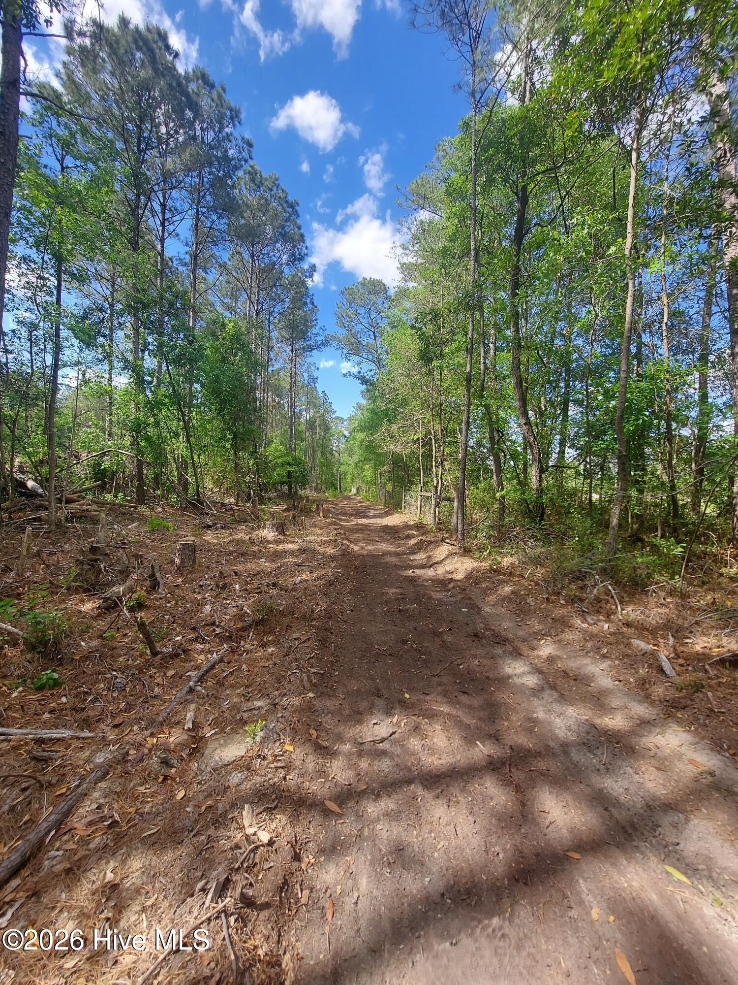 0 Harrell Road Burgaw, NC 28425 - Photo 13 of 22 20260420 Northern I-40 line