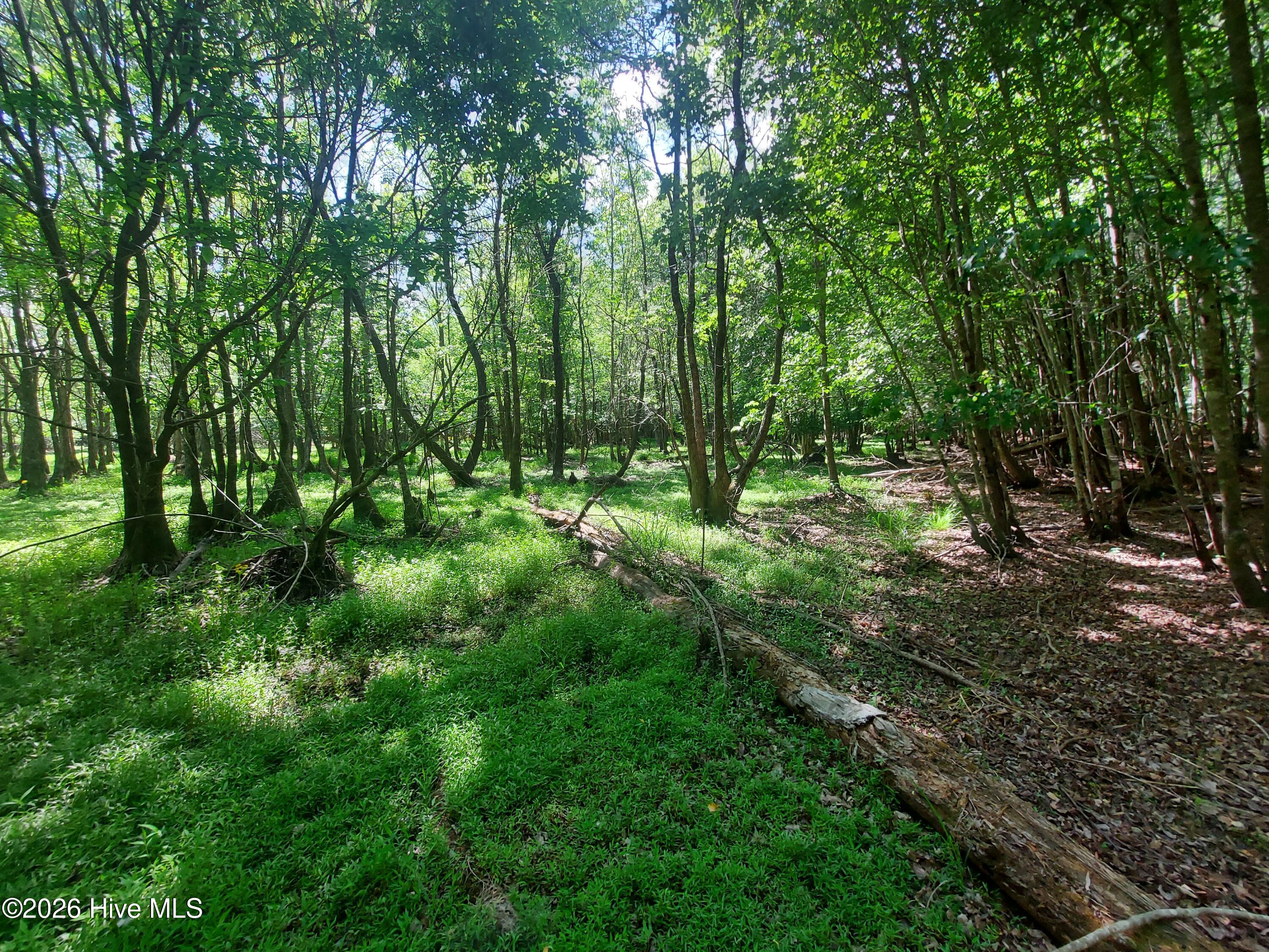 0 Harrell Road Burgaw, NC 28425 - Photo 22 of 22 20260420_153025