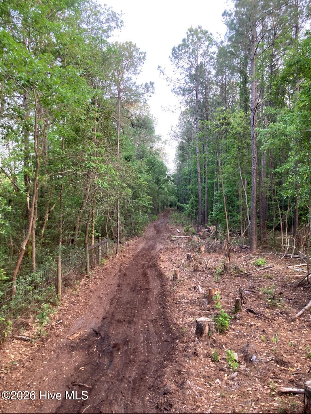 0 Harrell Road Burgaw, NC 28425 - Photo 4 of 22 20260420_Southern I-40 line