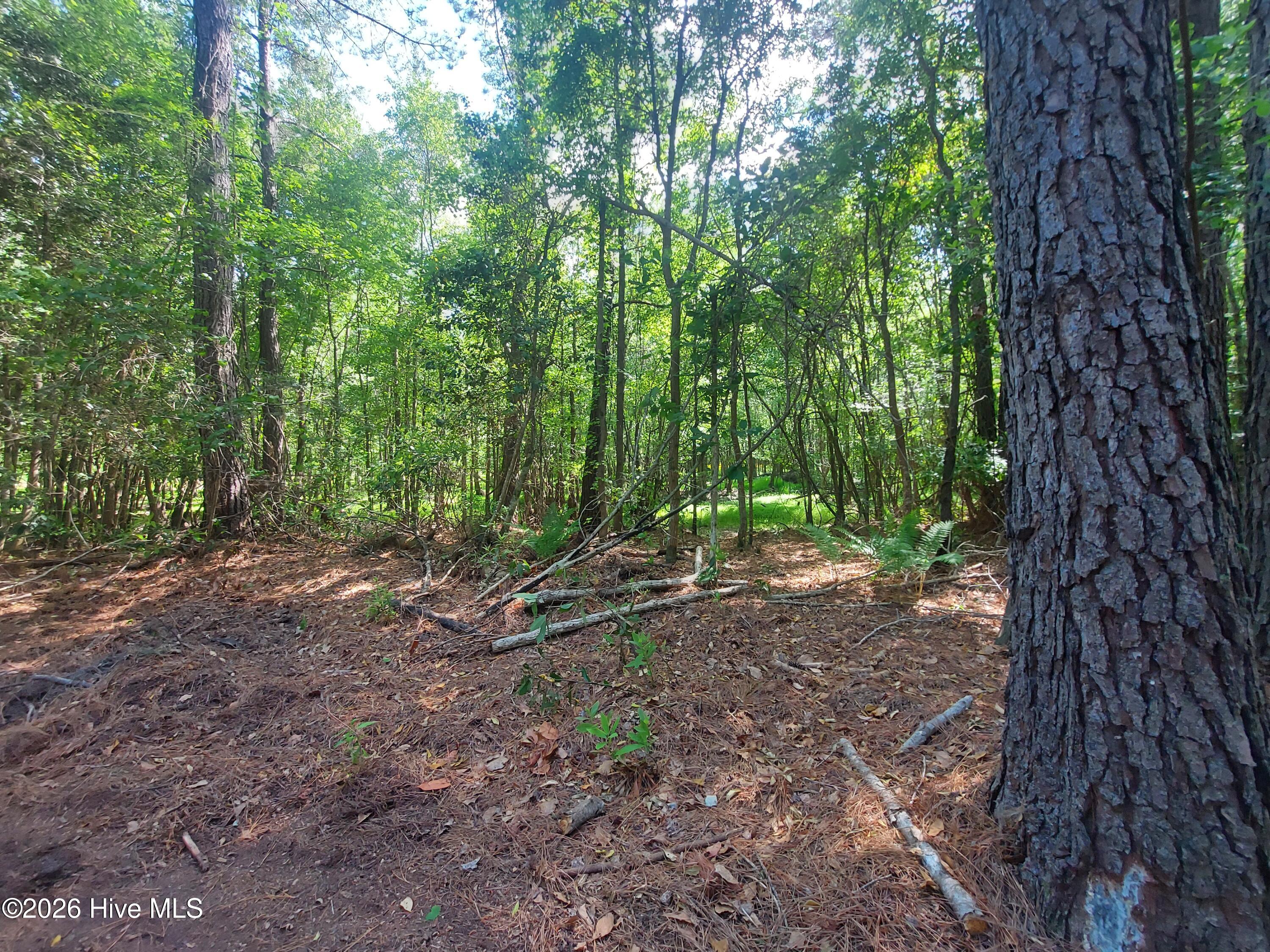 0 Harrell Road Burgaw, NC 28425 - Photo 9 of 22 20260420_152752
