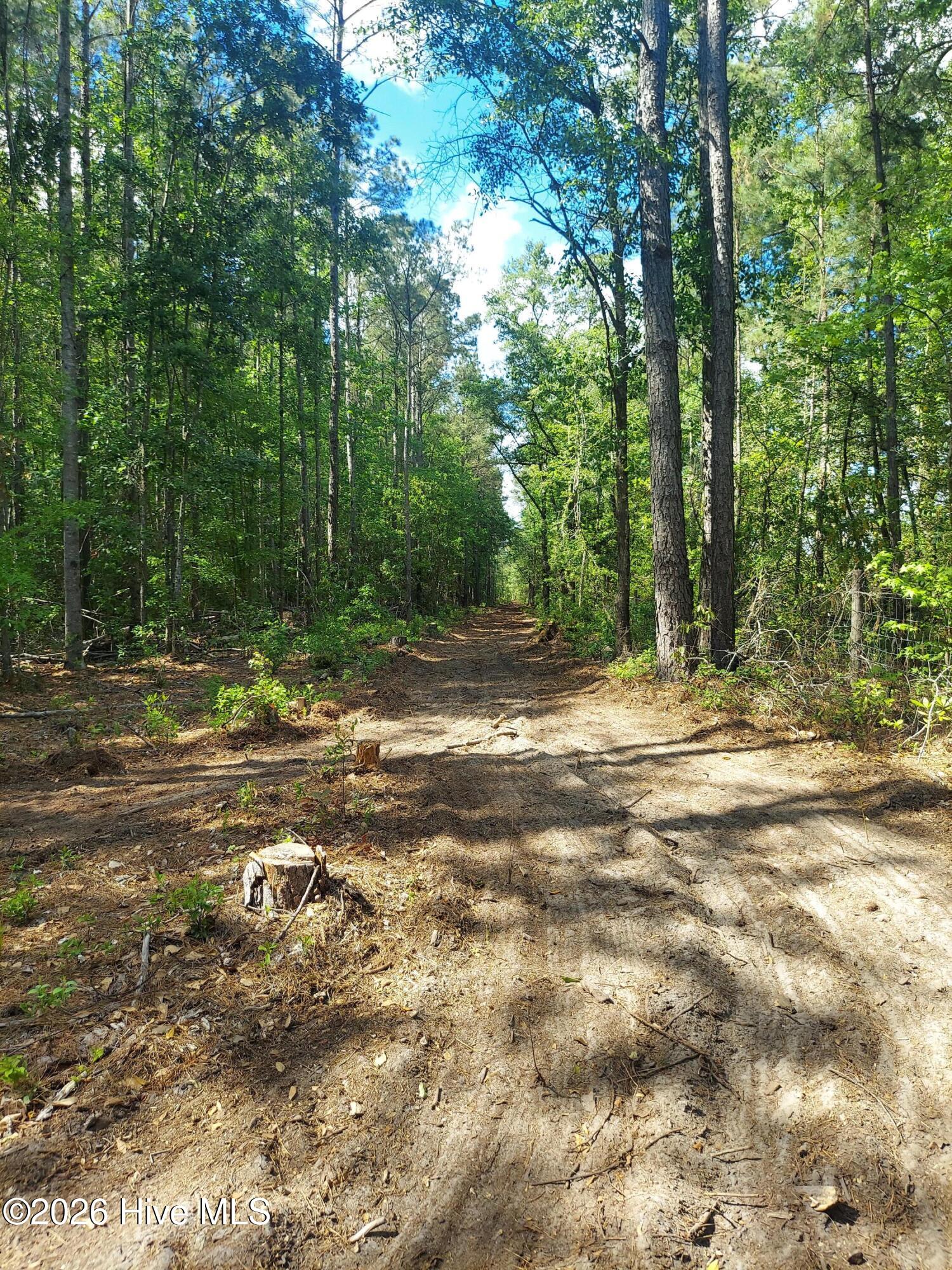 0 Harrell Road Burgaw, NC 28425 - Photo 10 of 22 20260420_cleared roads