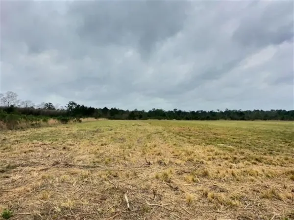 $29,700 | Tbd Tbd Allen Dale, Ragley, LA 70657