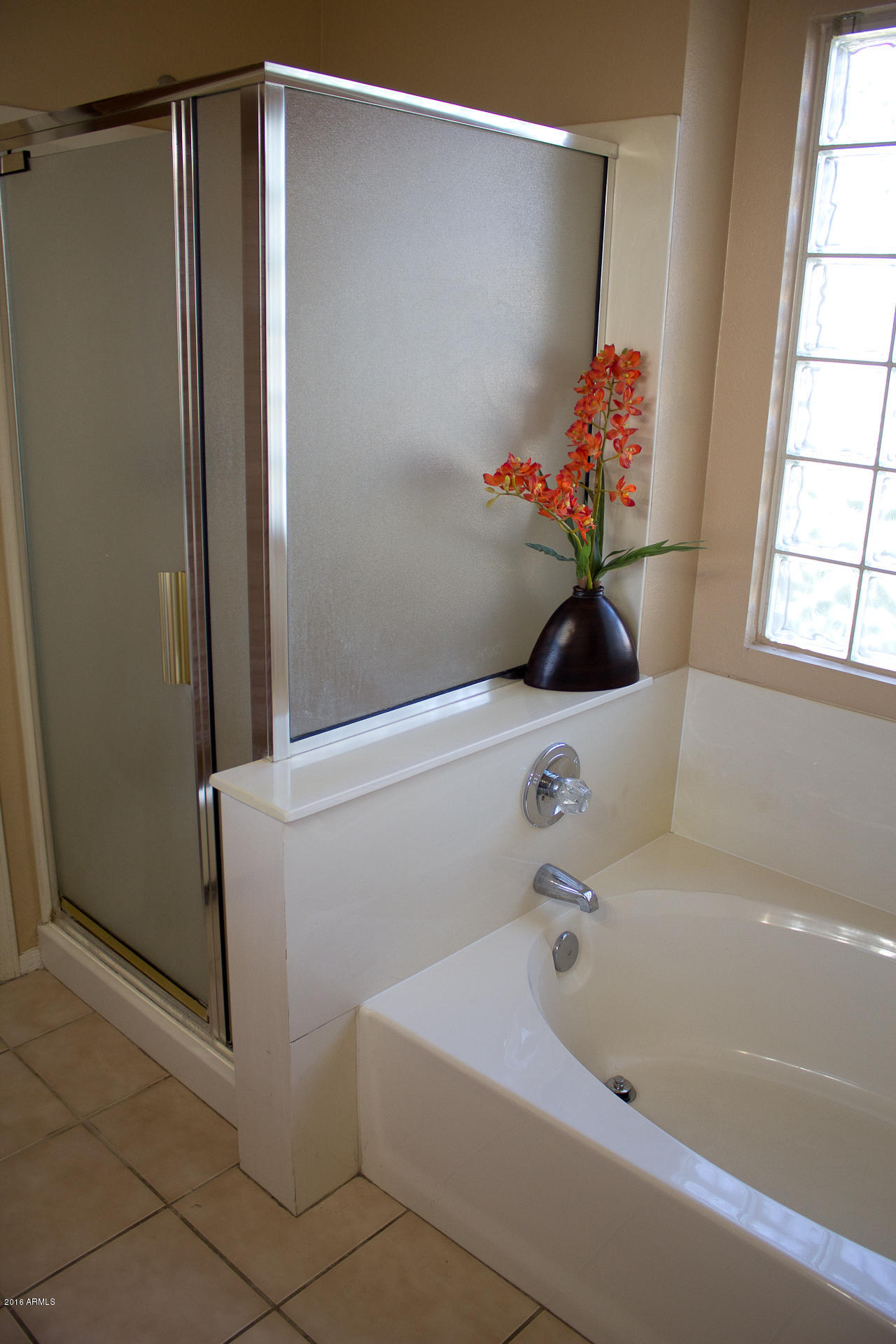 139 South Garnet Road Gilbert, AZ 85296 - Photo 11 of 26 Bathroom