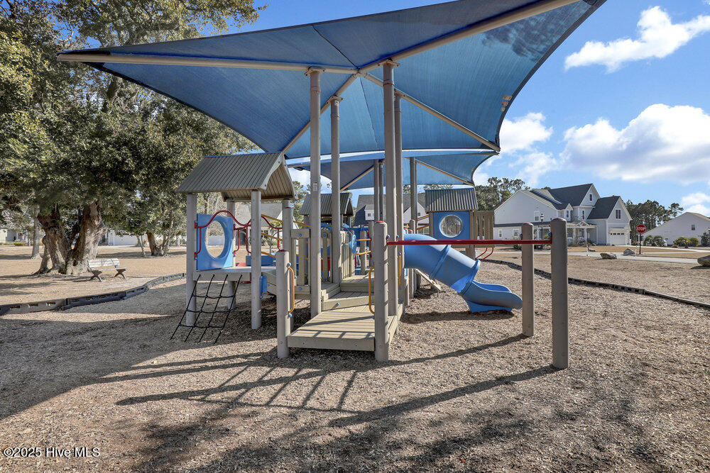 206 Twining Rose Lane Holly Ridge, NC 28445 - Photo 71 of 89 066_6g8a5931_545