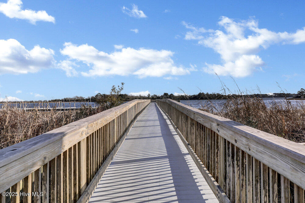 206 Twining Rose Lane Holly Ridge, NC 28445 - Photo 73 of 89 067_6g8a6042_188