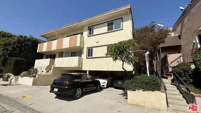 a view of a yard with plants and large trees