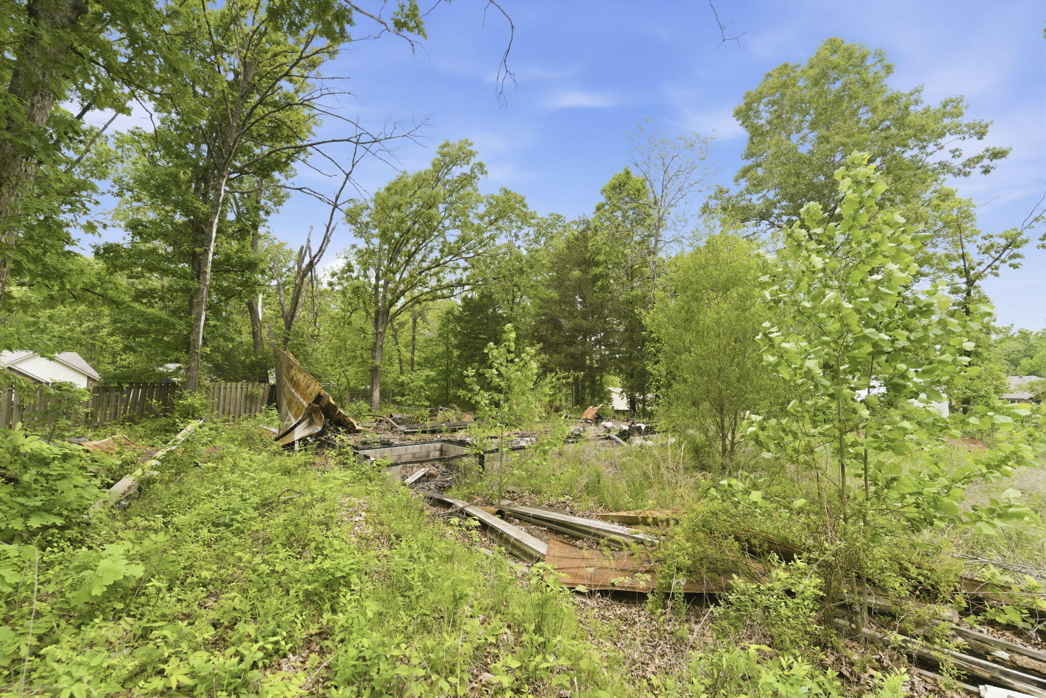 0 Tate Road Ridgedale, MO 65739 - Photo 9 of 17 8-web-or-mls-DSC05689
