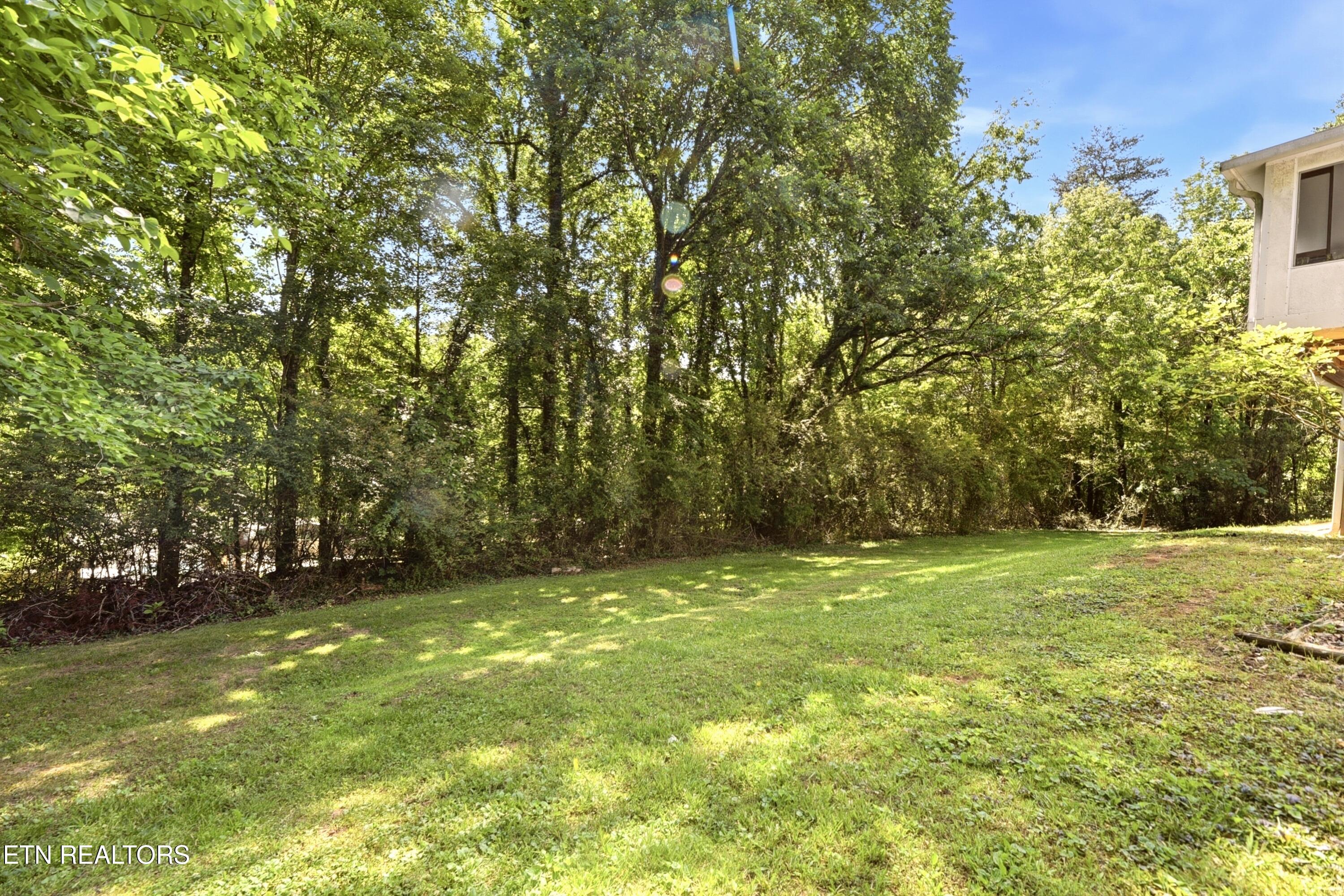 221 Sherwood Road Powell, TN 37849 - Photo 33 of 40 Backyard