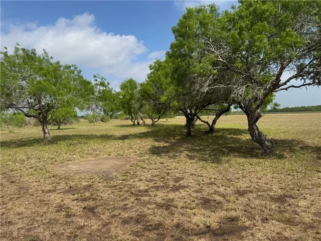 $54,900 | 0 T-head Drive, Riviera, TX 78379