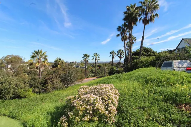 a view of a garden with a building in the background