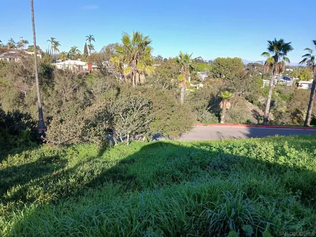 a view of a yard in front of the house