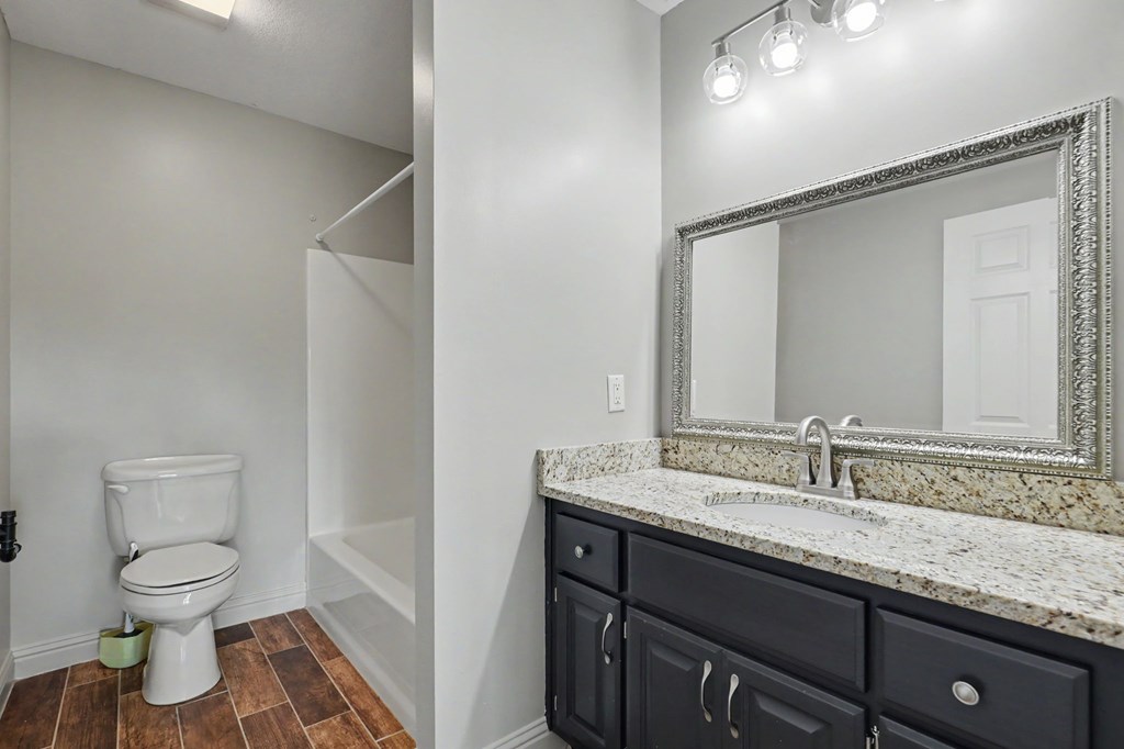 456 Deaver Cove Road Blairsville, GA 30512 - Photo 27 of 83 a bathroom with a granite countertop sink a toilet and a mirror