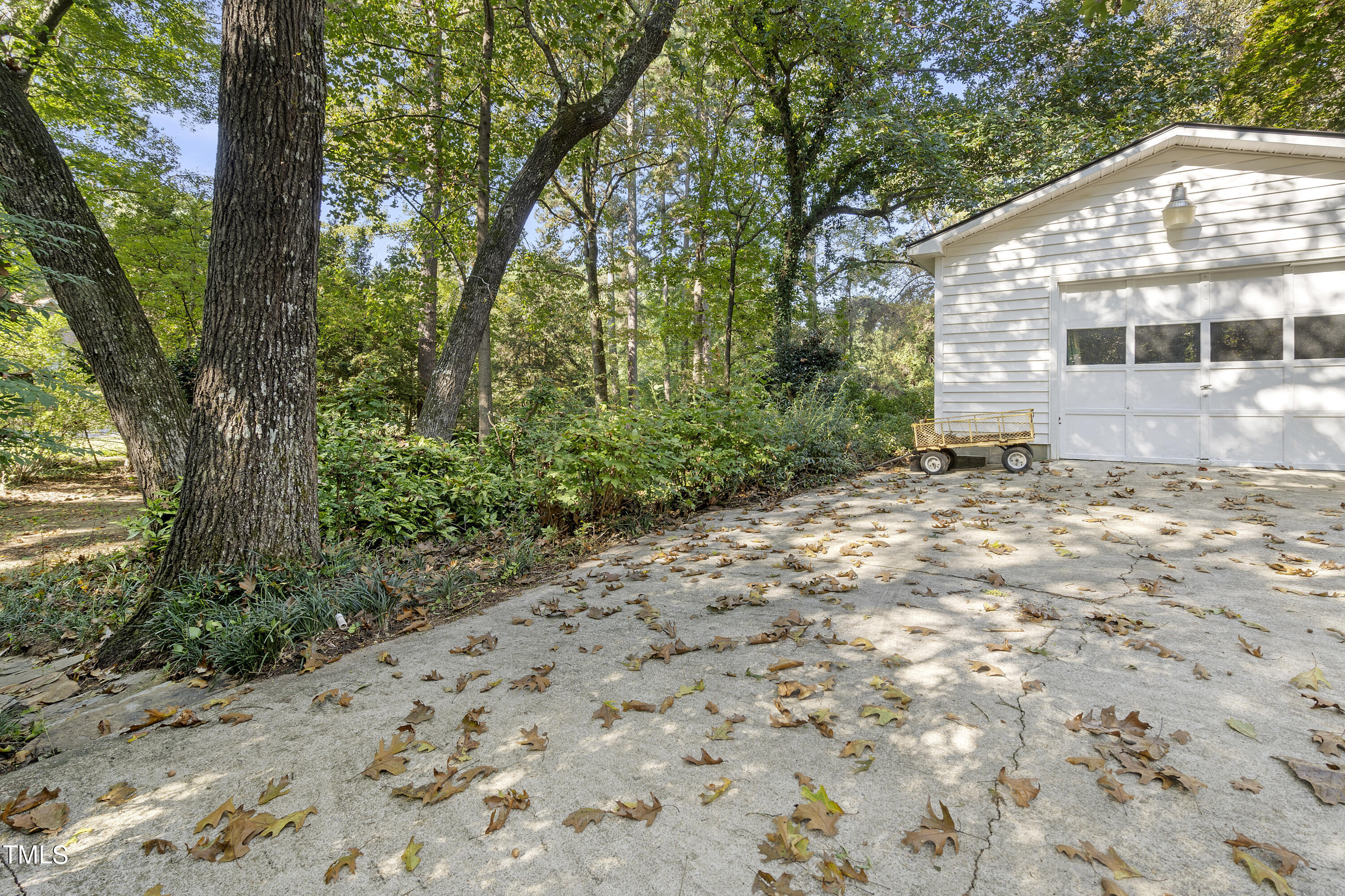 7543 Fish Pond Road Sims, NC 27880 - Photo 33 of 36 DSC01461