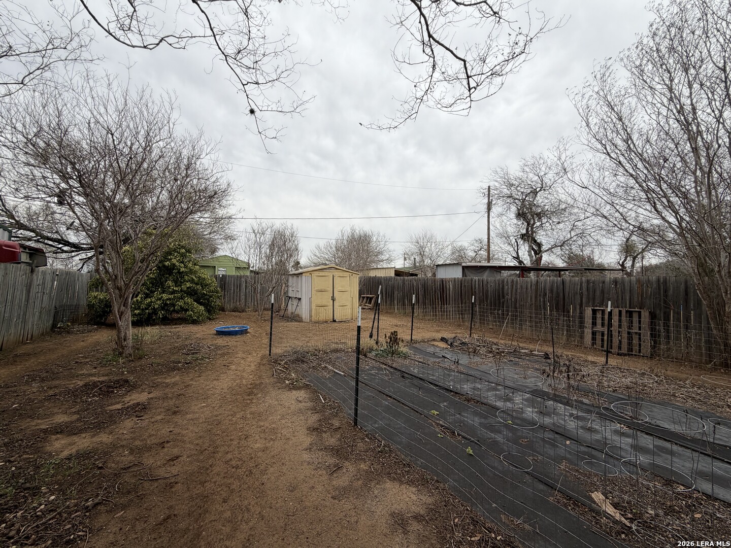 905 Peach Street Jourdanton, TX 78026 - Photo 18 of 20