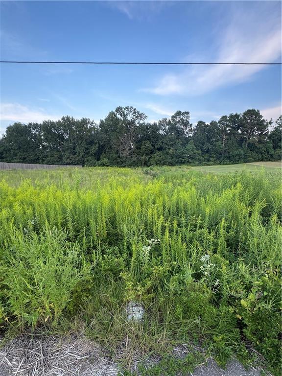 119 Meadow Lane Pollock, LA 71467 - Photo 3 of 3