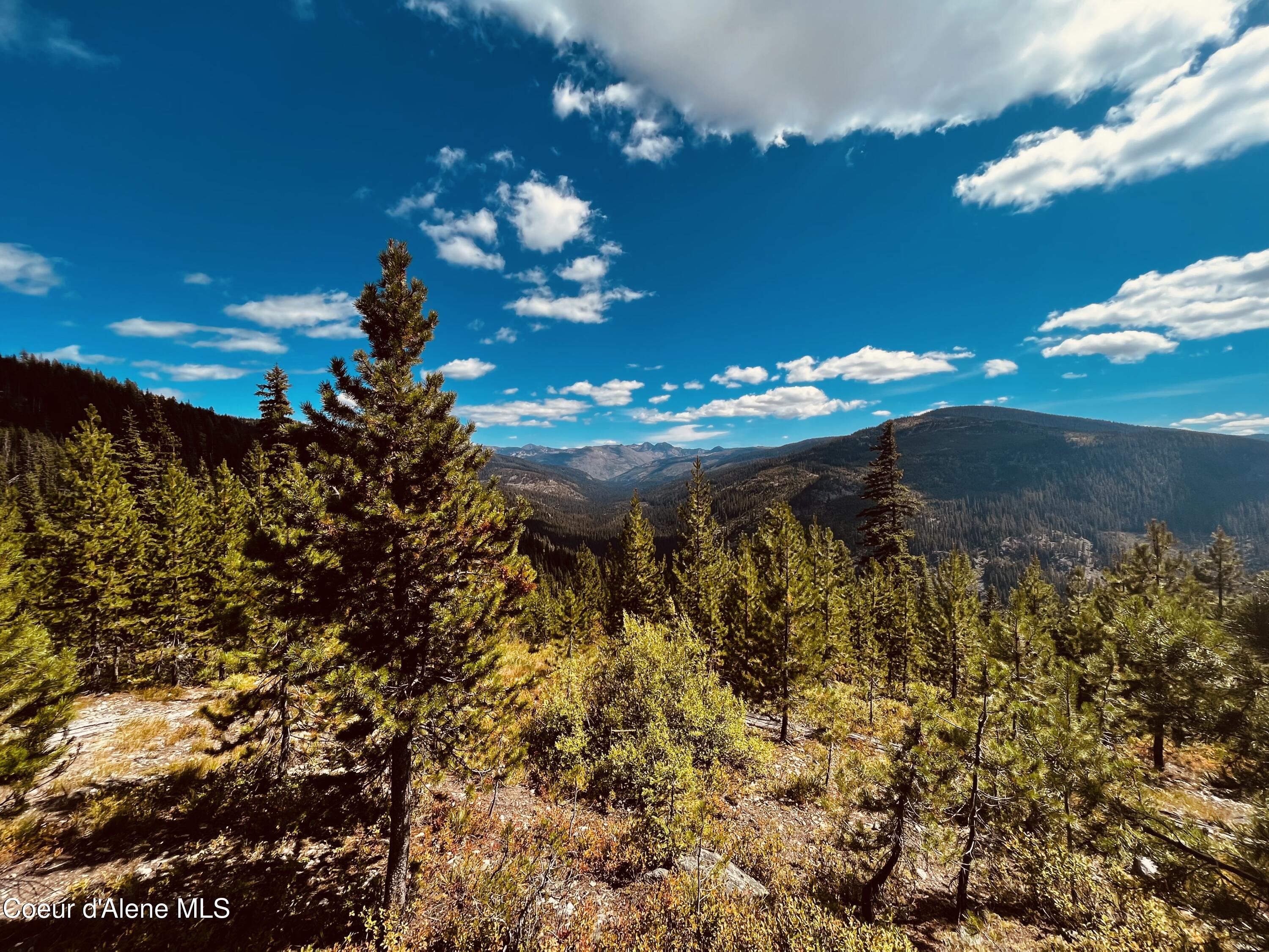 4 Packers Meadow Road Kooskia, ID 83539 - Photo 21 of 21 73883F12-156C-4C92-8575-ADBF53849D7E