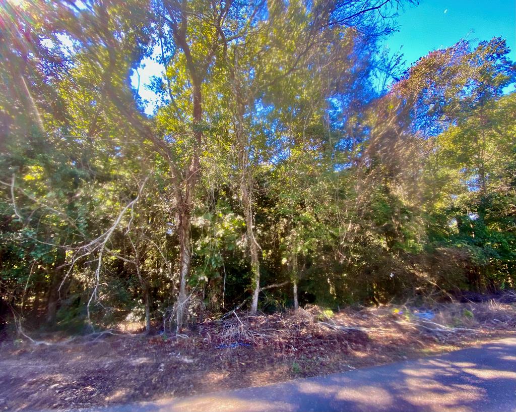 .482-acres Riverside Drive Dothan, AL 36303 - Photo 1 of 3