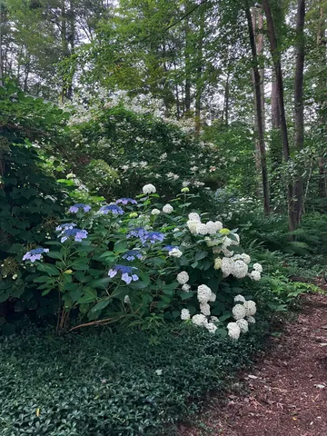 $595,000 | 29 Academy Avenue, Atkinson, NH 03811