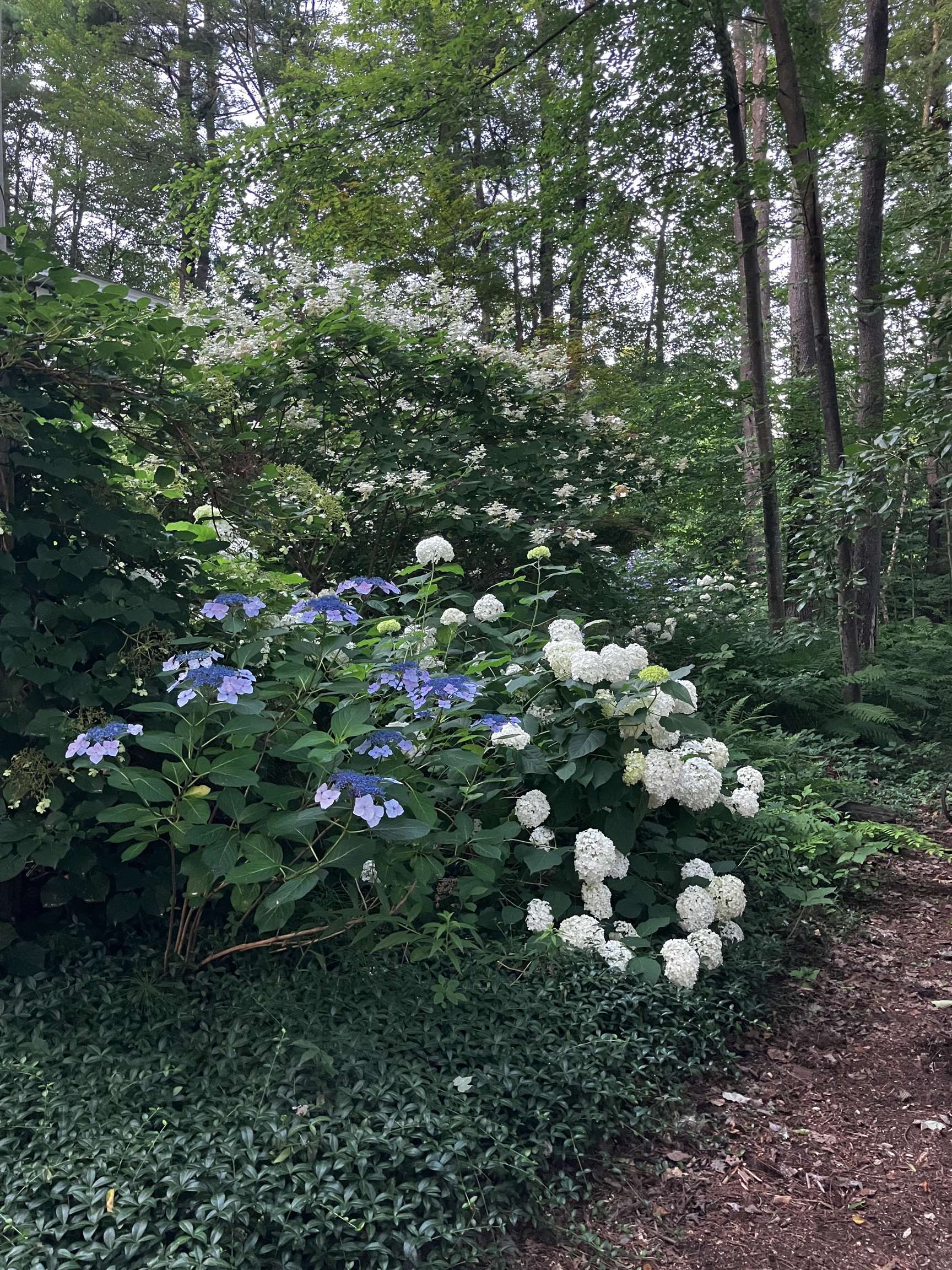 29 Academy Avenue Atkinson, NH 03811 - Photo 29 of 35