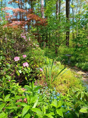 $595,000 | 29 Academy Avenue, Atkinson, NH 03811