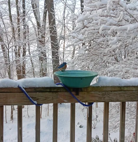 $595,000 | 29 Academy Avenue, Atkinson, NH 03811