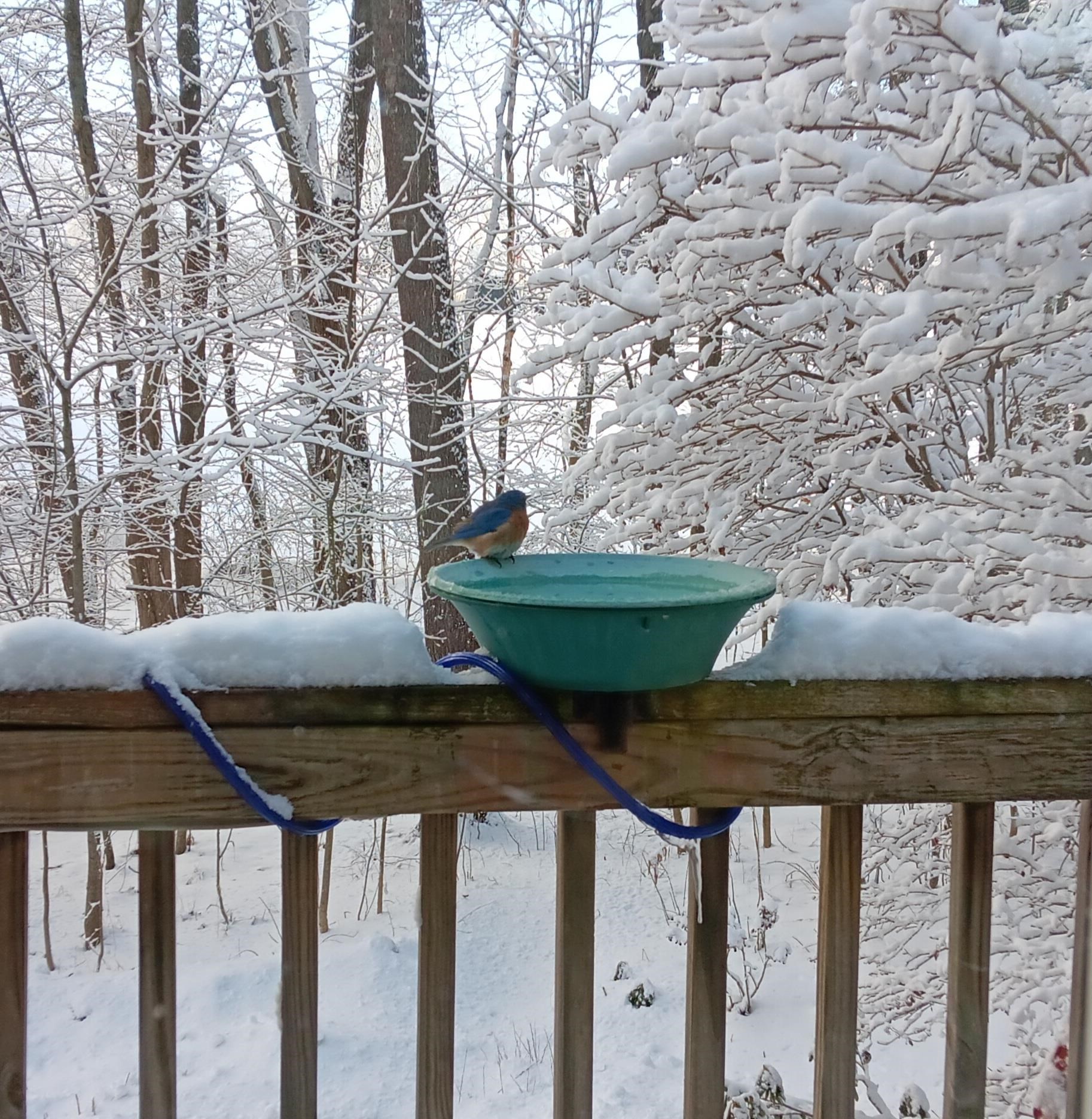 29 Academy Avenue Atkinson, NH 03811 - Photo 31 of 35