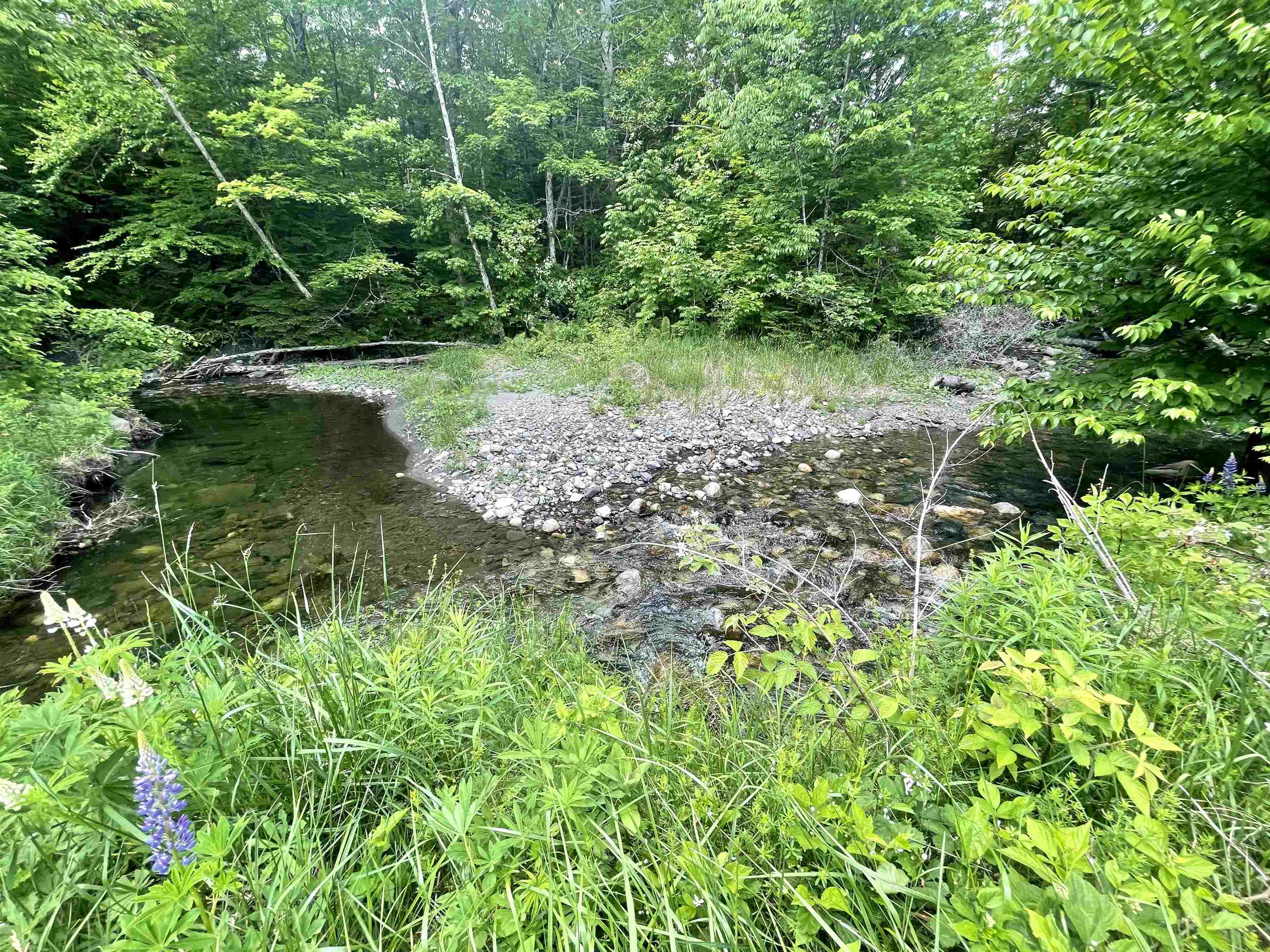 5019 South Wheelock Road Wheelock, VT 05851 - Photo 23 of 31 Gallery Image 23