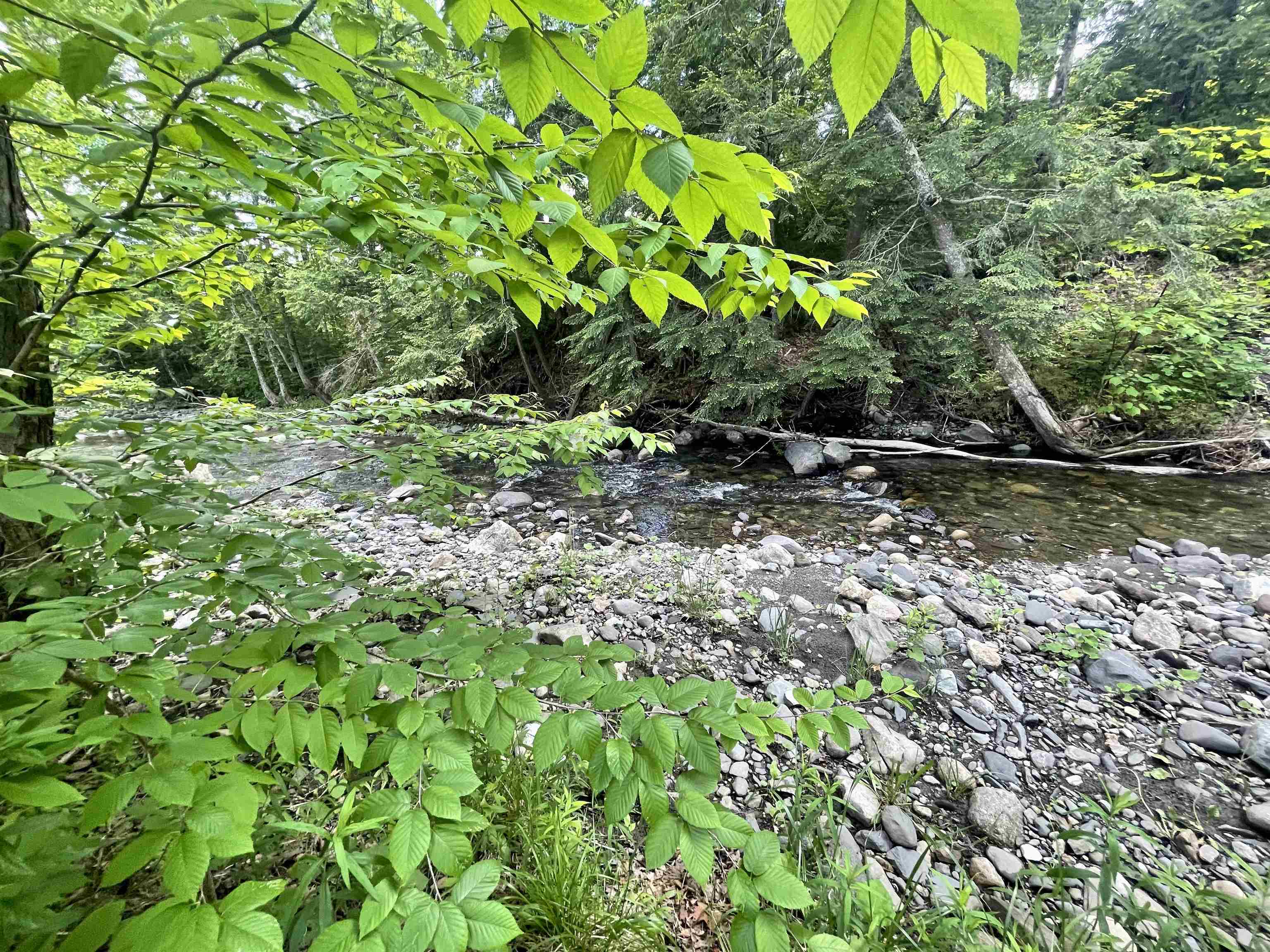 5019 South Wheelock Road Wheelock, VT 05851 - Photo 24 of 31 Gallery Image 24