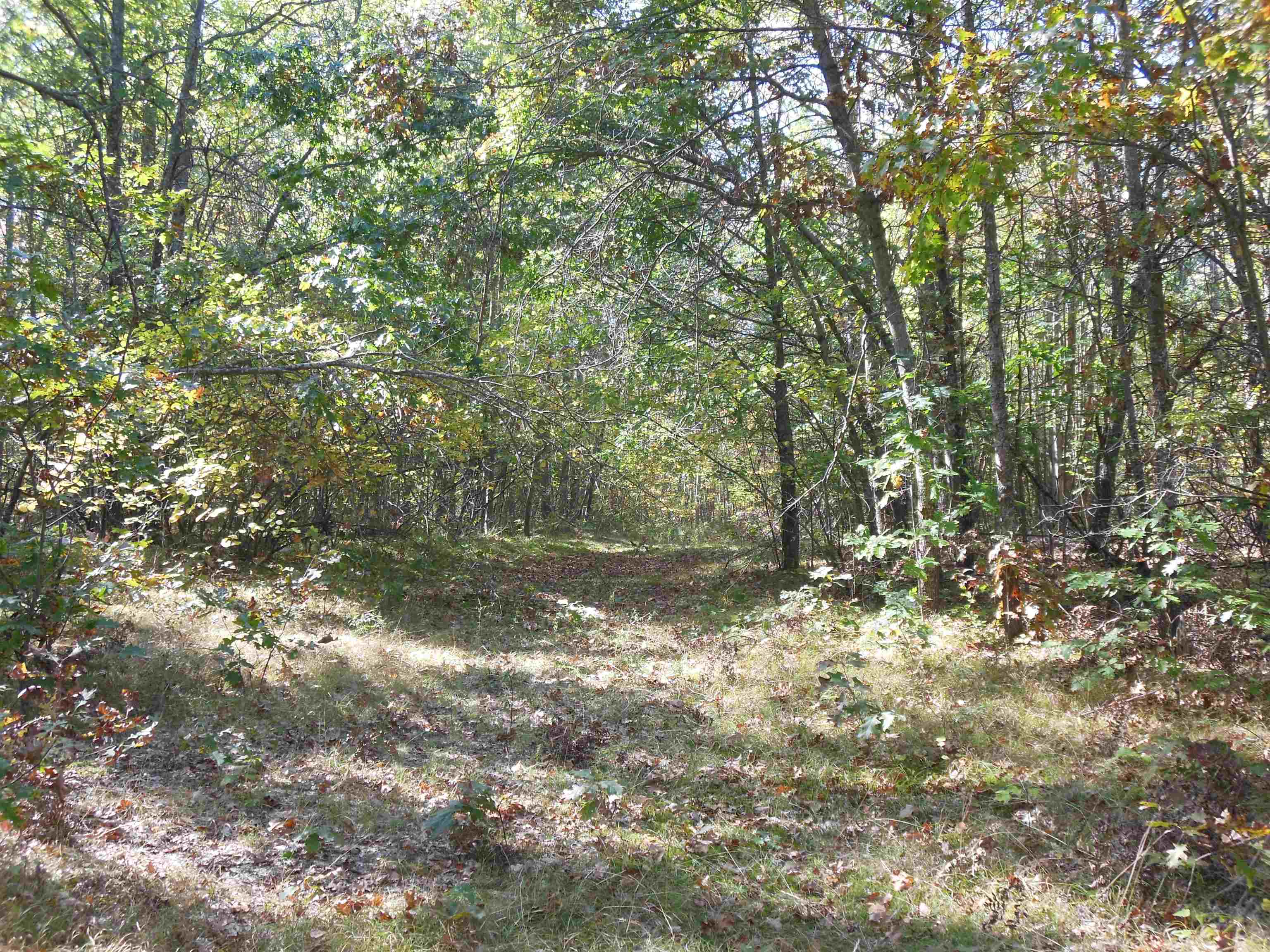 5630 Mostetler Road Harrison, MI 48625 - Photo 49 of 58