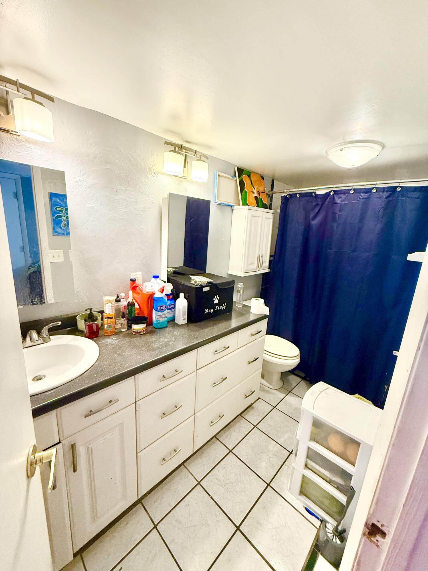 711 Springdale Circle Palm Springs, FL 33461 - Photo 4 of 11 a bathroom with a sink and a mirror