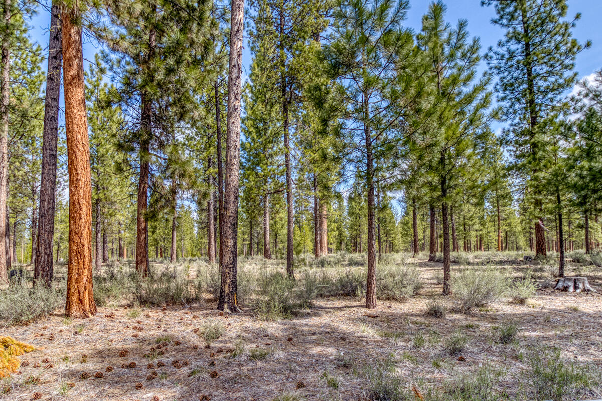52084 Red Pine La Pine, OR 97739 - Photo 31 of 40 Borders privately owned managed forest land