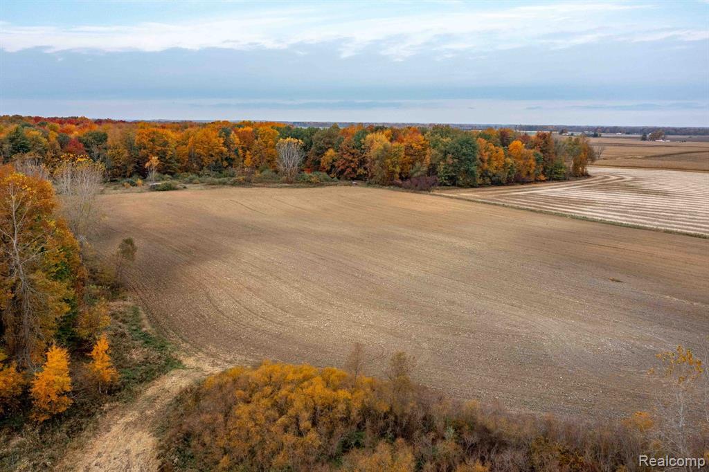 0 Wood Road Marlette, MI 48453 - Photo 14 of 20