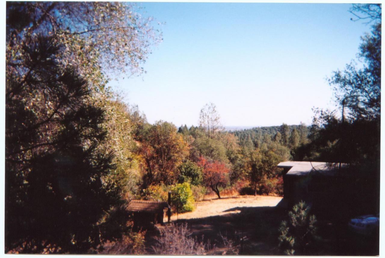 a view of a yard with mountain view