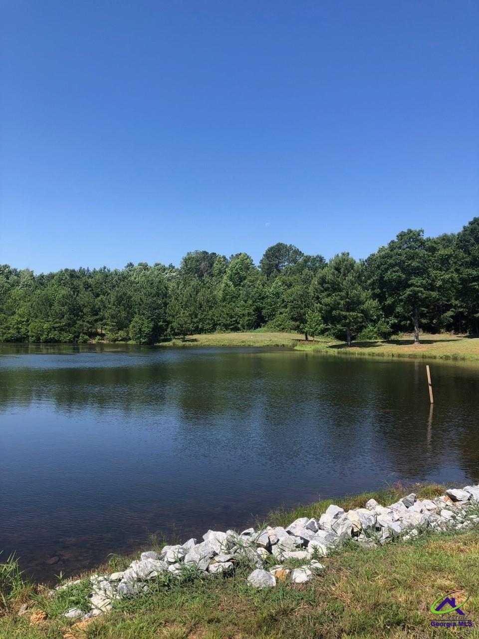 0 County Line Road Elko, GA 31025 - Photo 1 of 12