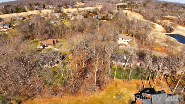 a view of a yard with a tree