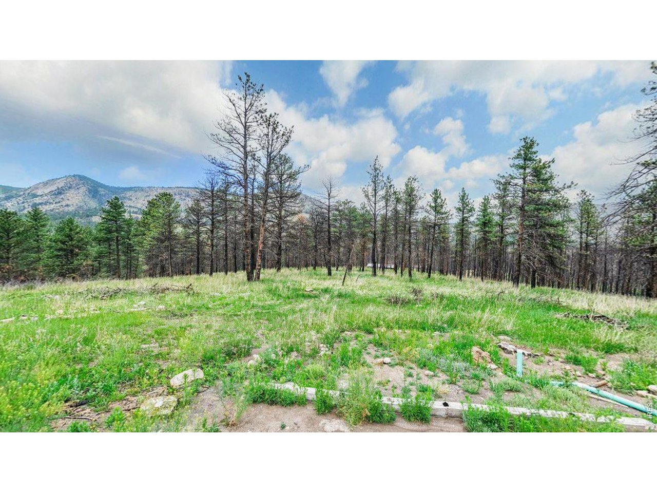 179 Green Ridge Road Loveland, CO 80537 - Photo 8 of 13 View from in the lot facing N.