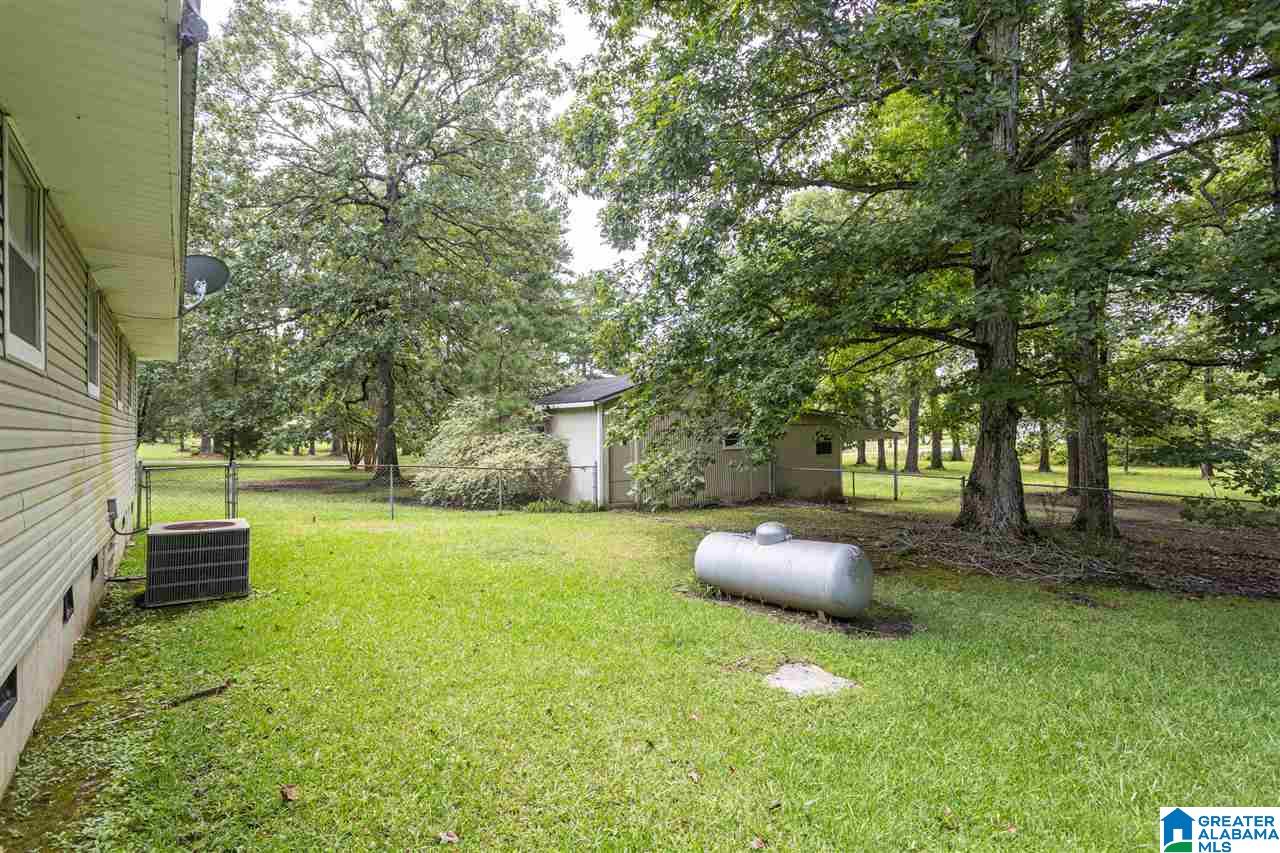 1561 Chelsea Road Columbiana, AL 35051 - Photo 28 of 31