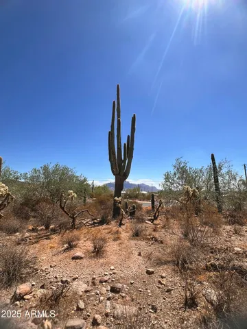 a view of a sky from a yard