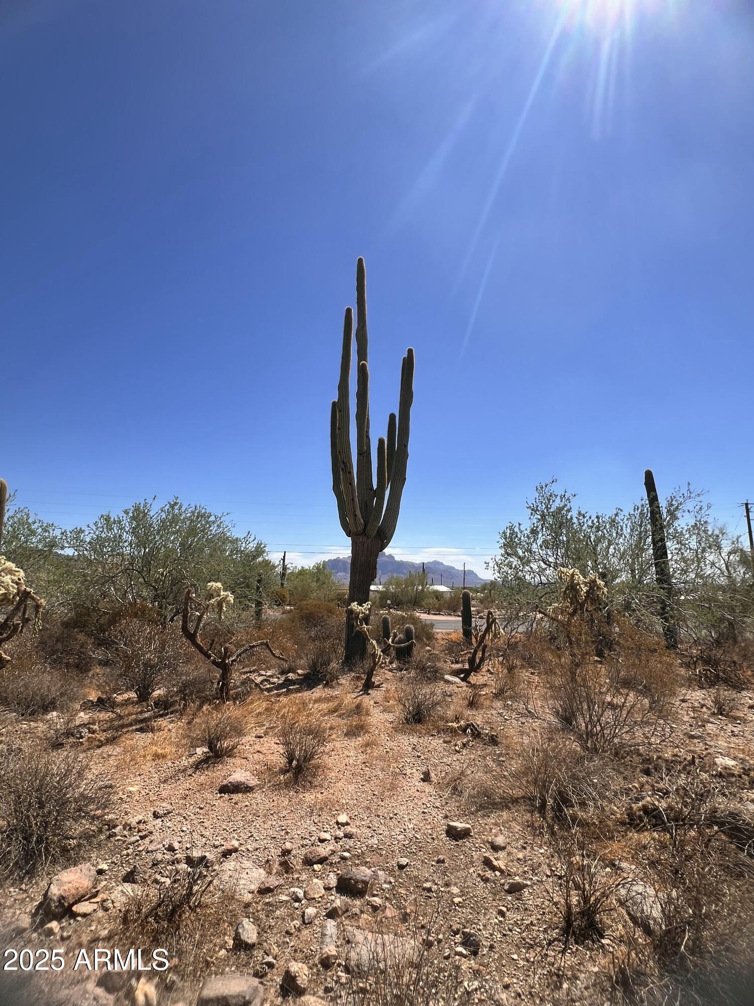 2800 West Canyon Street, Unit 47 Apache Junction, AZ 85120 - Photo 14 of 25 a view of a dry yard