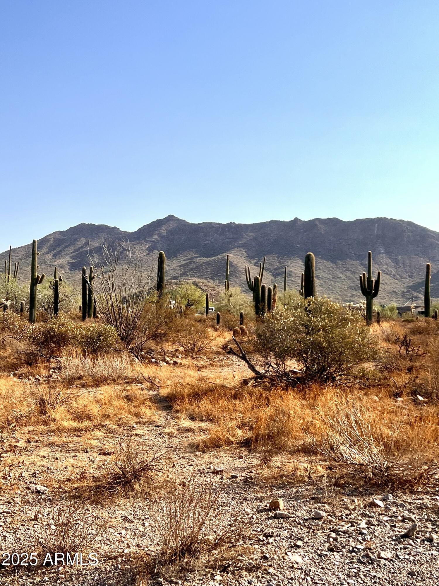 2800 West Canyon Street, Unit 47 Apache Junction, AZ 85120 - Photo 15 of 25 a view of a house with a mountain