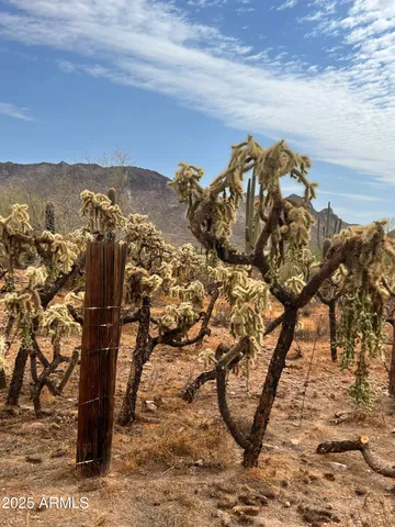 a view of a large building with a mountain in the background