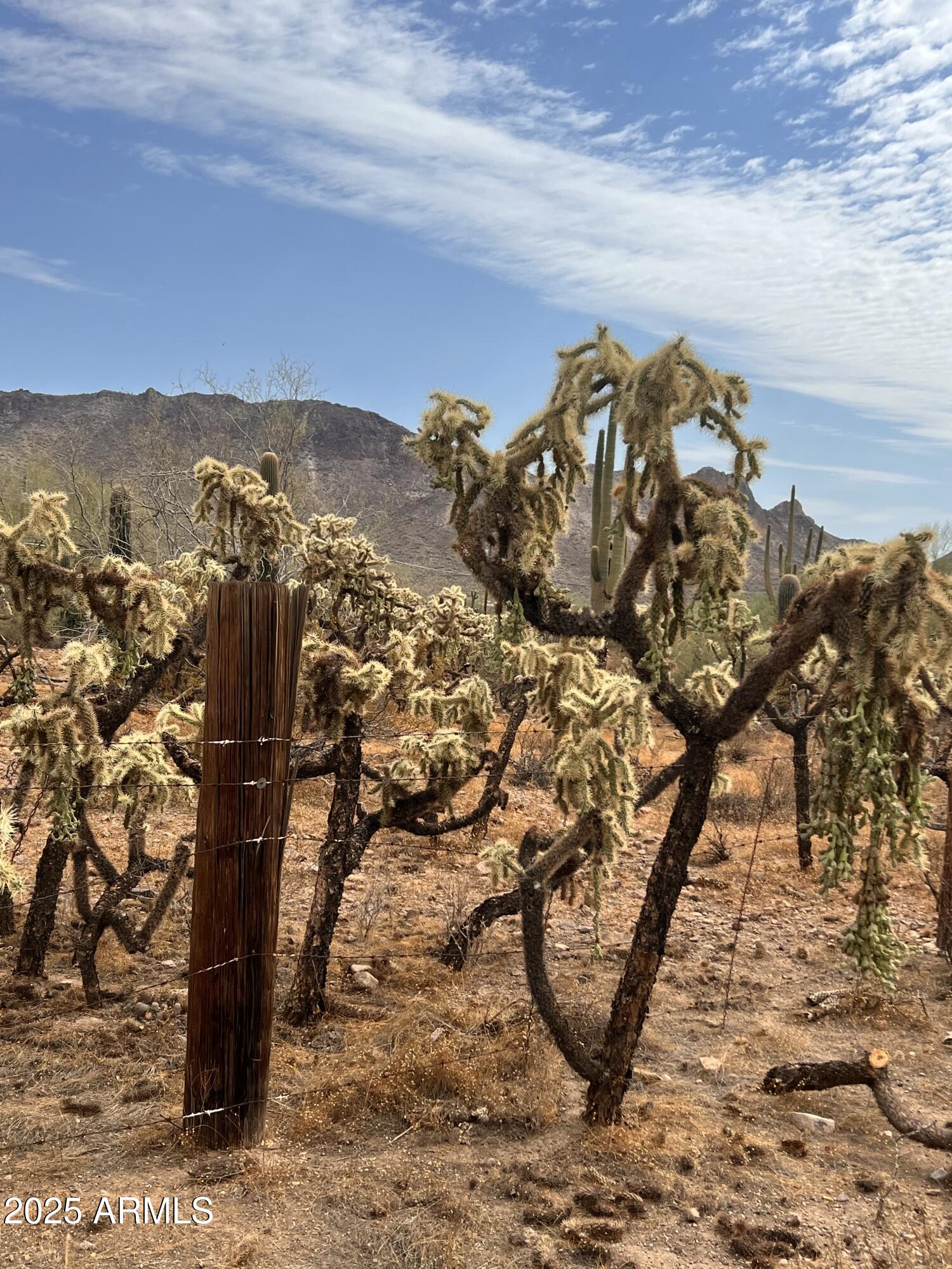2800 West Canyon Street, Unit 47 Apache Junction, AZ 85120 - Photo 16 of 25 a view of water heater