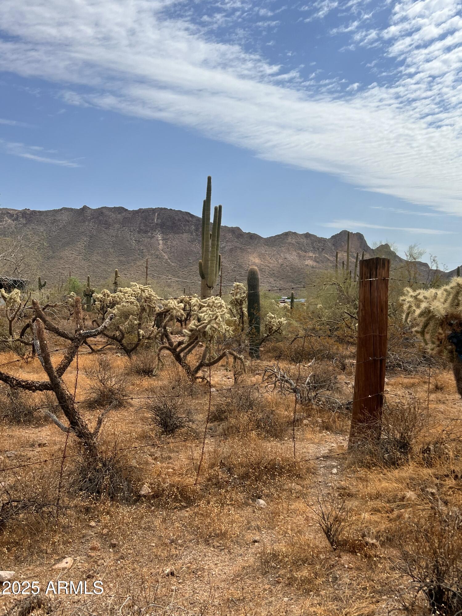 2800 West Canyon Street, Unit 47 Apache Junction, AZ 85120 - Photo 18 of 25 a view of a sky from a yard
