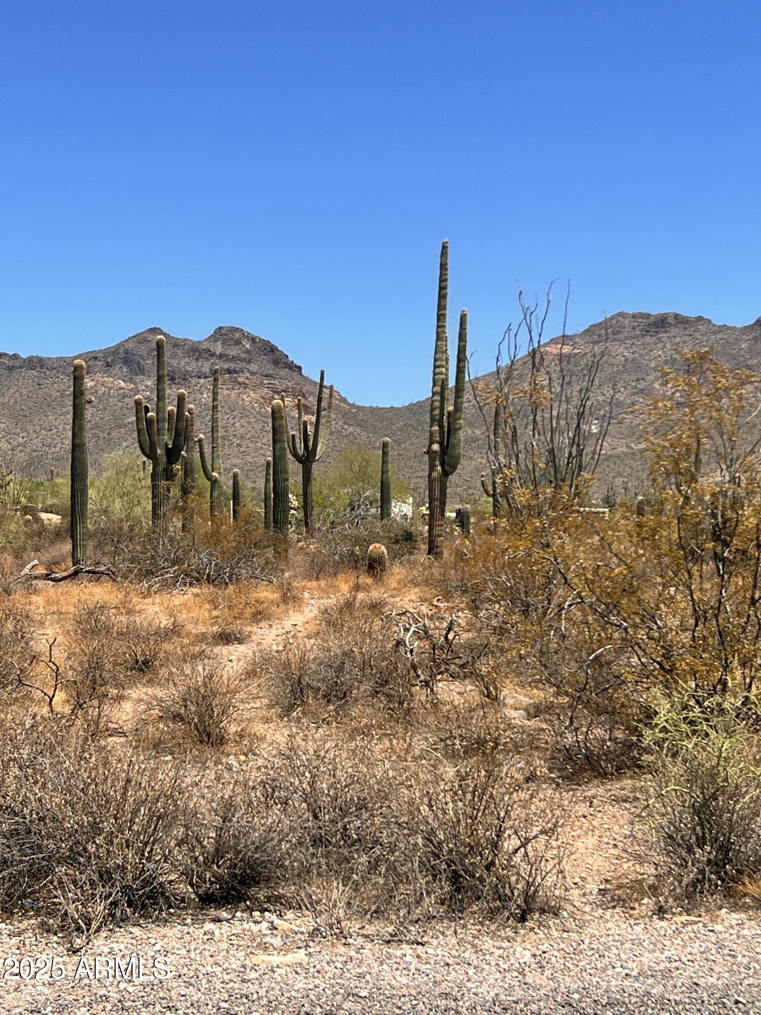 2800 West Canyon Street, Unit 47 Apache Junction, AZ 85120 - Photo 20 of 25 a view of a large building with a mountain in the background