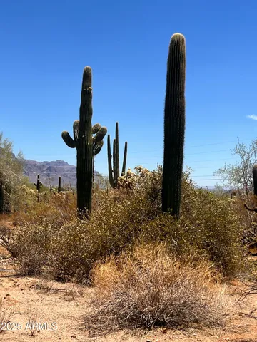 $1,200,000 | 2800 West Canyon Street, Unit 47, Apache Junction, AZ 85120