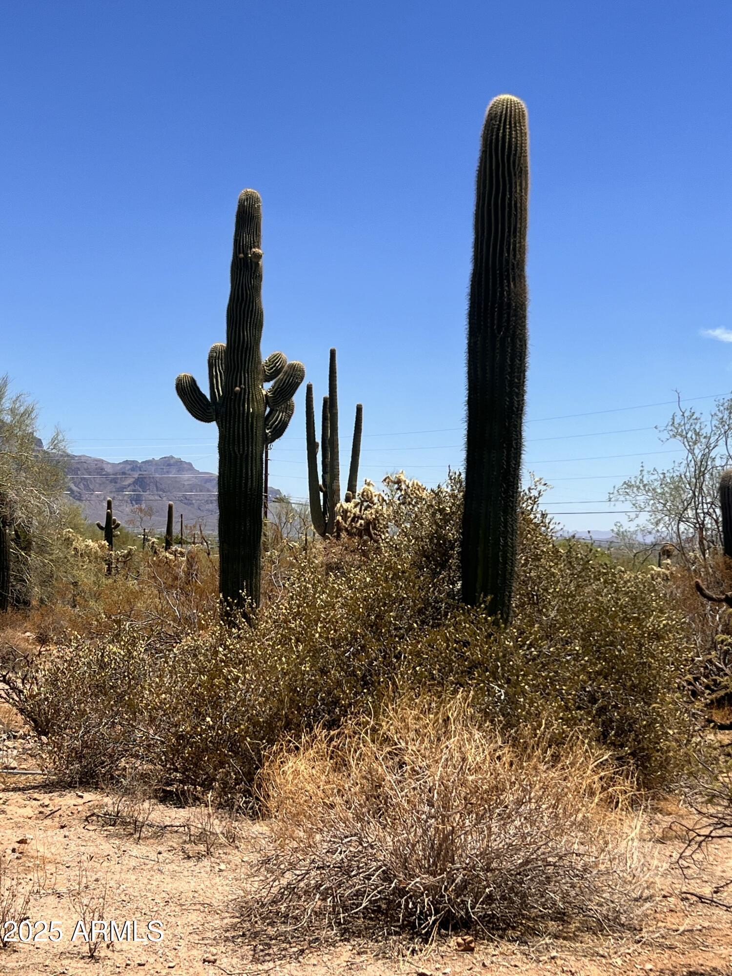 2800 West Canyon Street, Unit 47 Apache Junction, AZ 85120 - Photo 21 of 25 a view of a with a sink