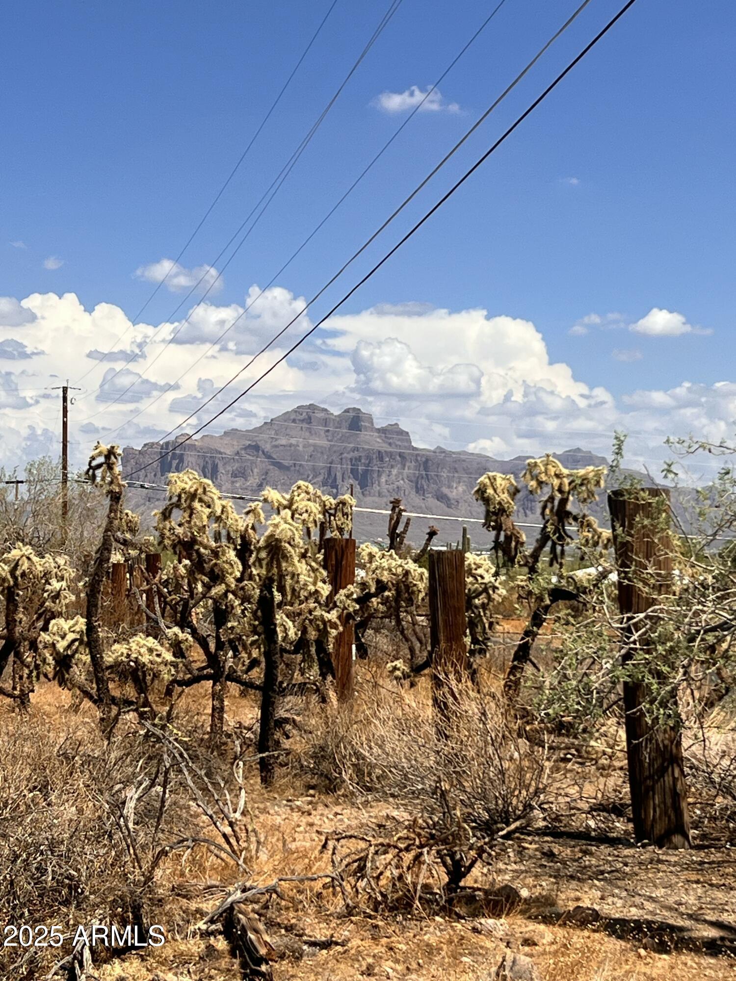 2800 West Canyon Street, Unit 47 Apache Junction, AZ 85120 - Photo 22 of 25